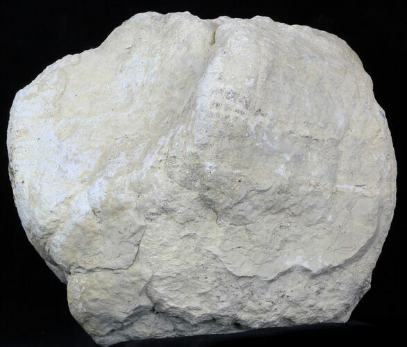 Large, Whole/Unbroken Keokuk Geode #33961